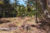 Beachfront Land In Lombok For Sale