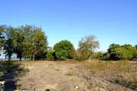 Beachfront Plots for Sale in Mondu