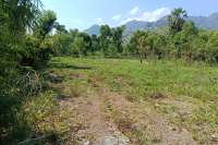 Freehold Land for sale in Pemuteran