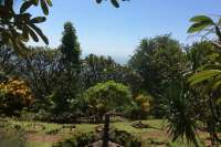 Land for Sale in Bali: 180 Degree Views