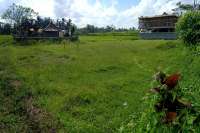 Land plot for sale in Ubud