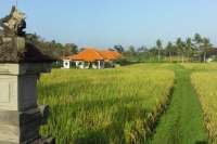 Quiet One Bedroom Villa for Sale Near Ubud