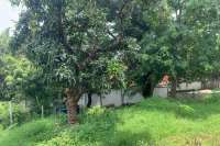 Exceptional Hillside Land Cempaga