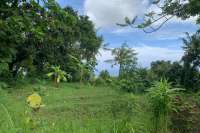 Land Plot in the Hill for Sale in Kayuputih