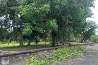 Prime Land for Sale - Development