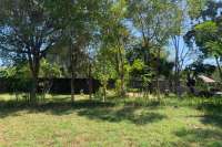Primesized Land near Lovina for Sale