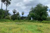 Land in Pemuteran for Leasehold
