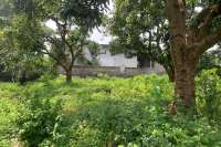 Exceptional Hillside Land Cempaga