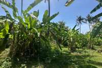 Nice Flat Land plot for Sale