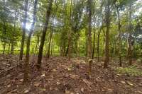 Simple & Affordable Land for Sale