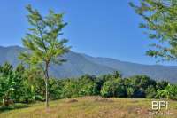 Dynamic 2.6 Hectare Land For Sale