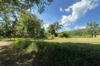 Primesized Land near Lovina for Sale