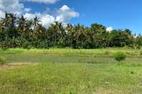Land plot for sale in Lovina central