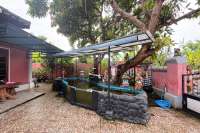 Minimalist House for Sale in Central Lovina