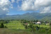 Land for Sale with Stunning Views in Panji