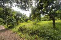 Cempaga Hillside Plot For Sale