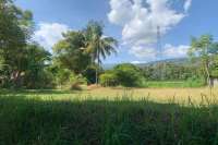 Primesized Land near Lovina for Sale