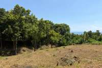 Ocean View Land for Sale in Pacung, North Bali
