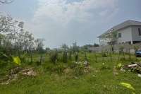 Dencarik Plot Close to The Beach