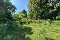 Hillside Plot in Kayuputih for Sale