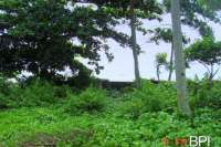 Beachfront Land For Sale in Bali