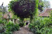 Bungalow Complex in a Tropical Garden