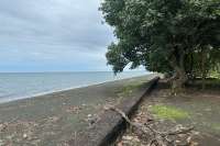 Prime Land for Sale - Development