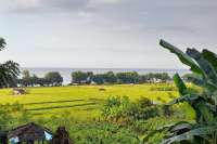 Two Land plots with Amazing view in Umeanyar