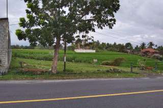 Land for Sale in Tabanan
