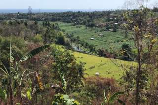 Hillside Land For Sale, North Bali