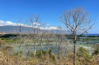 Panoramic Land for sale in Umeanyar