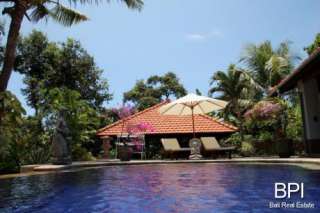 Rural Villa For Sale in Bali